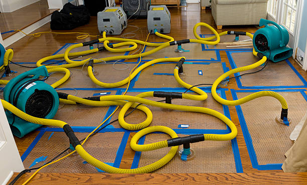 Professional Burst Pipe Water Damage technician working in Prescott, WA